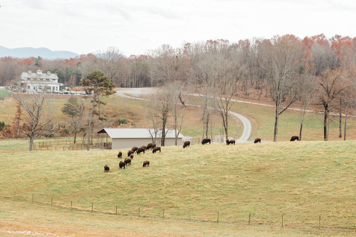 Scenic countryside field with rolling hills and trees in the background