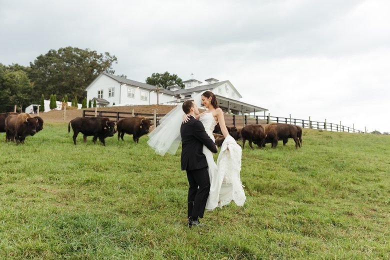 Bride and groom walking hand in hand across a grassy field, smiling, with a herd of cows and a white barn in the background.